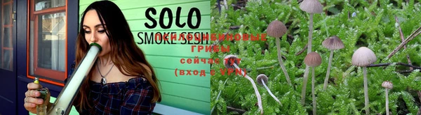 герыч Тутаев